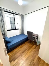 Village @ Pasir Panjang (D5), Condominium #582245621